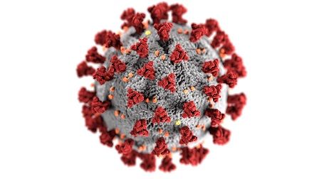 Koronavirus v Česku - struktura buňky